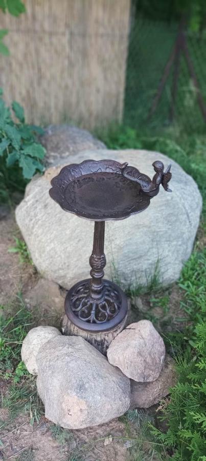 Domek Zielenina Mierzeszyn 외부 사진